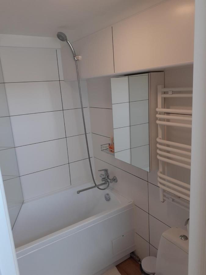Lovely 1-Bedroom Apartment In Kaunas Old Town Екстер'єр фото